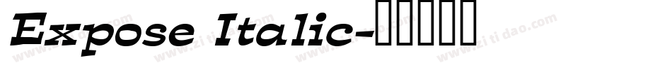 Expose Italic字体转换